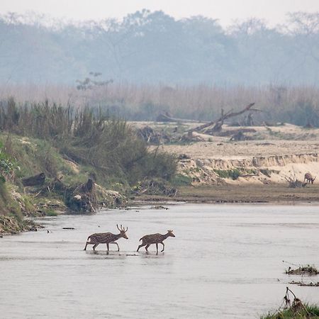 ホテル Sanctuary Chitwan National Park エクステリア 写真