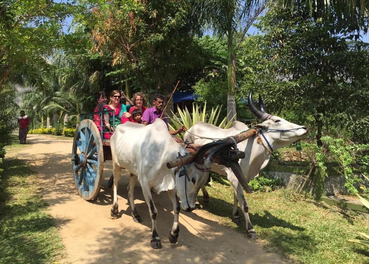 ホテル Sanctuary Chitwan National Park エクステリア 写真