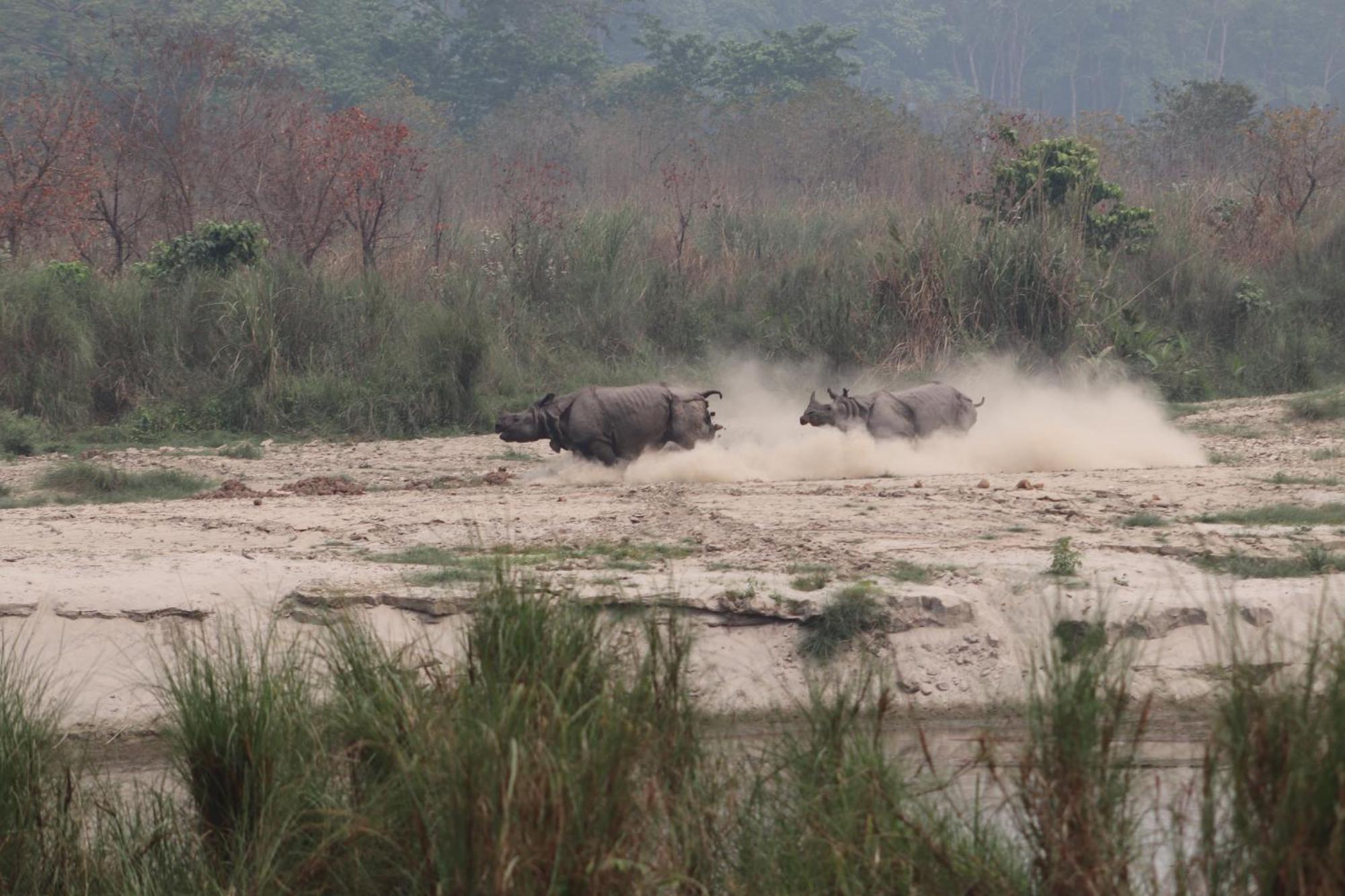 ホテル Sanctuary Chitwan National Park エクステリア 写真