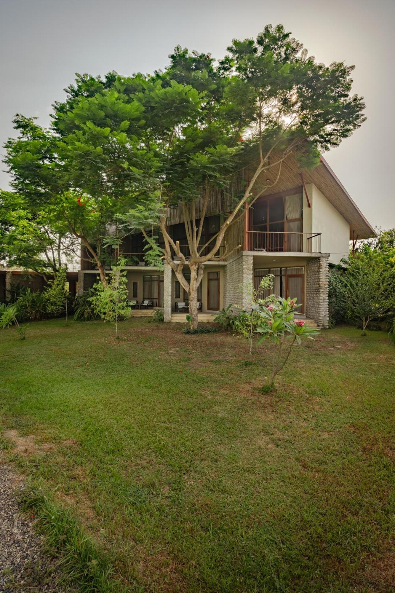 Sanctuary Chitwan National Park チトワン エクステリア 写真